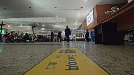 Timelapse-of-people-traffic-in-the-Terminal-D-at-Sheremetyevo-Airport-Moscow