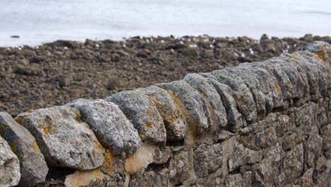 Muro-De-Piedra-Con-Marea-Baja-En-La-Costa-De-Fondo-Con-Gaviotas