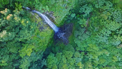 Aerial-top-down-shot-of-rainforest-with-falling-waterfall-in-Bonao,-Dominican-Republic