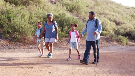 Abuelos-Con-Nietos-Usando-Mochilas-Caminando-Juntos-En-El-Campo