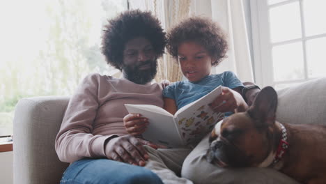 Mixed-race-pre-teen-boy-and-father-sitting-on-a-sofa-with-their-sleeping-pet-dog,-reading-a-book-together,-selective-focus