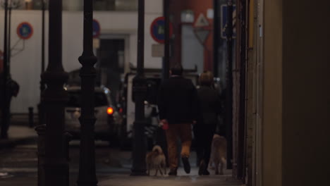 A-street-view-with-busy-traffic-and-a-couple-walking-with-dogs-along-a-sidewalk