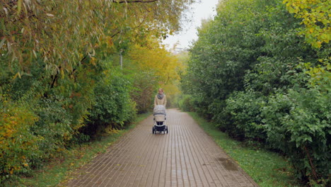 Mum-walking-with-baby-walking-in-autumn-park