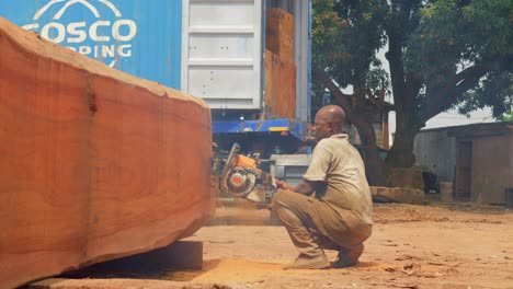 Sägewerksfabrik-In-Ghana,-Schwarze-Männliche-Arbeiter-Schneiden-Große-Holzstämme-Mit-Manueller-Kettensäge-In-Der-Holzindustrie-Afrikas