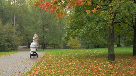 A-woman-walking-with-a-baby-carriage-in-an-autumn-park