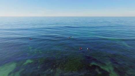 Surfers-And-Beach-In-San-Diego,-California,-USA---aerial-drone-shot