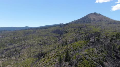 Drone-shot-of-Lassen-National-Forest-capturing-a-beautiful-mountain-surrounded-by-greenery,-with-a-blue-sky-in-the-back