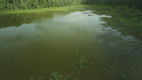 Superficie-Con-Vegetación-Verde-De-Aguas-Tranquilas-En-El-Lago-Spile,-Condado-De-Vernon,-Missouri,-EE.UU.