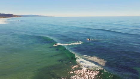 Surfer-Surfing-Ocean-Waves-In-San-Diego,-USA---drone-shot
