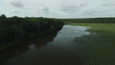 Luftaufnahme-Eines-Stehenden-Gewässers,-Das-Mit-Vegetation-Und-Dichter-Waldumgebung-Bedeckt-Ist