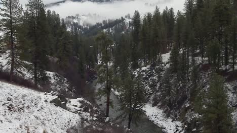 Tannenwald-Am-Flussufer-In-Der-Winterlandschaft-Im-Boise-National-Forest,-Idaho,-Vereinigte-Staaten