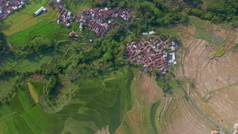 Overhead-Drohnenaufnahme-Der-Indonesischen-Landschaft-Mit-Kontrasten-Zwischen-Fruchtbaren-Landwirtschaftlichen-Gebieten-Und-Dürre-Landwirtschaftsgebieten