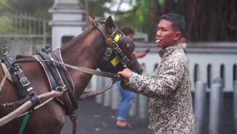 A-man-is-calming-the-horse-mounted-on-a-horse-drawn-carriage