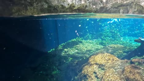 POV-half-submerged-diving-in-crystal-clear-turquoise-waters-at-Nicte-ha-cenote-with-submerged-people-in-Tulum,-Mexico