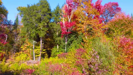 Drohne-Fliegt-über-Einer-Wunderschönen-Herbstlandschaft-Mit-Bunten-Baumblättern-In-Montreal,-Quebec