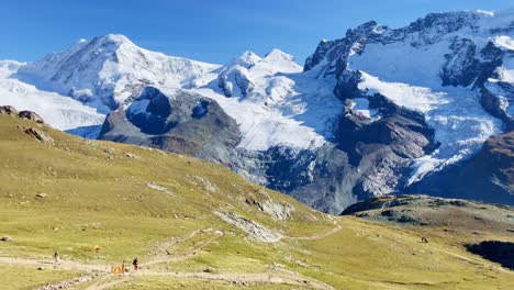 Mountain-Freedom:-Matterhorn-Mountain-Landscape-Near-Rotenboden-and-Gornergart,-Switzerland,-Europe-|-Movement-Down-Hillside-Towards-Other-Hikers,-Hiking