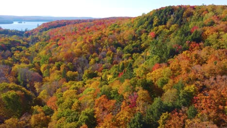 Entspannender-Hochflug-über-Die-Bunten-Rot--Und-Orangetöne-Eines-Waldes-Im-Herbst