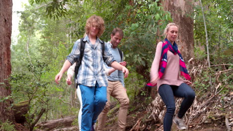 Family-walking-through-forest-downhill-towards-the-camera