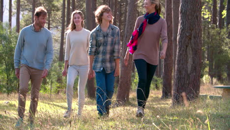Happy-family-with-teenage-kids-walking-in-the-countryside
