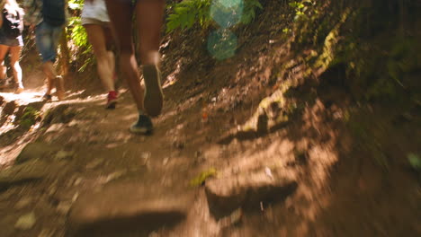 Group-friends-running-away-from-camera-on-a-forest-path
