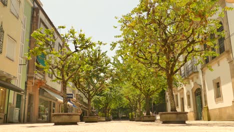 Trees-during-summer-in-the-historic-center-of-the-old-town-of-Braga,-Portugal