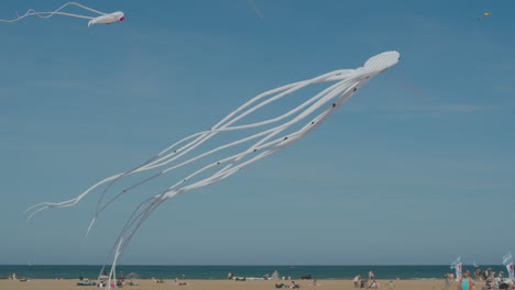 Kraken-Und-Tintenfischdrachen-Auf-Dem-Windfestival-In-Valencia,-Spanien