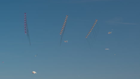 Gruppe-Von-Drachen,-Die-Beim-Windfestival-Valencia-In-Der-Luft-Auftreten