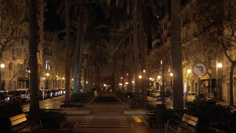 Pasarela-Bordeada-De-Palmeras-En-La-Noche-Valencia-España