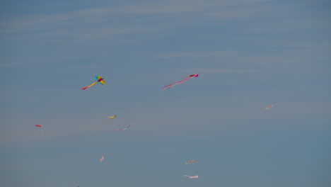 Una-Bandada-Voladora-De-Cometas-Multicolores
