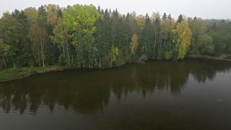 Tranquil-Lake-With-Reflection-Of-Trees-On-A-Misty-Day-In-Sweden---aerial-drone-shot
