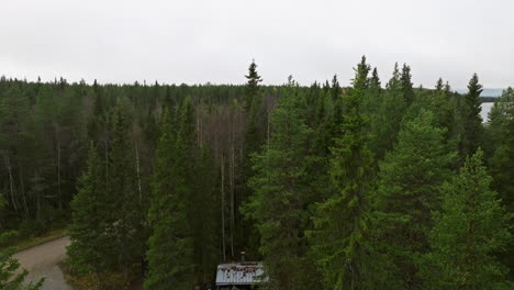 Landschaft-Aus-Tannen--Und-Birkenwald-An-Einem-Bewölkten-Tag-In-Schweden---Luftaufstieg