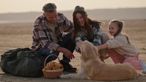 A-happy-brunette-man-with-gray-hair-in-a-checkered-shirt-along-with-his-wife-and-little-daughter-play-with-their-domestic-large-cream-colored-dog-during-their-picnic-on-a-deserted-seashore-in-the-summer