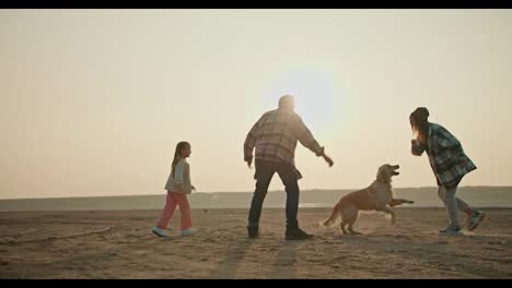 Shot-from-the-side-of-a-happy-brunette-man-in-a-plaid-shirt-together-with-his-wife-and-brunette-girlfriend-in-a-Green-shirt-and-a-little-daughter,-a-blonde-girl-in-a-white-jacket-playing-with-his-large-cream-colored-dog-on-the-deserted-seashore-in-the-summer-evening