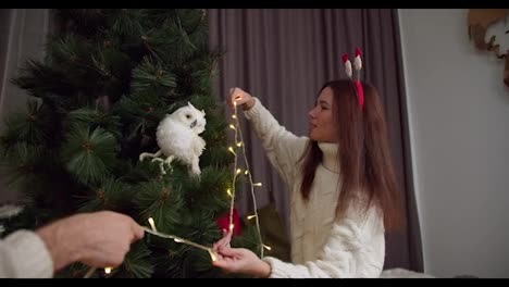 A-brunette-girl-in-a-New-Year's-headband-with-a-white-sweater-and-her-boyfriend-decorate-a-Christmas-tree-with-a-bright-yellow-glowing-garland-in-their-cozy-home-in-winter