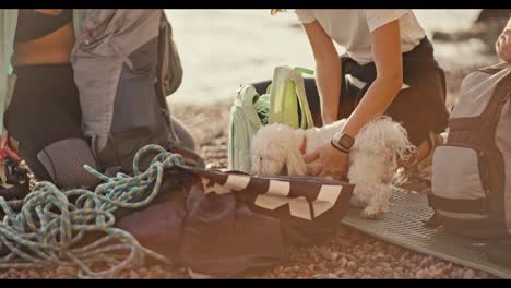 Close-up-shot-of-a-group-of-rock-climbers-laying-out-their-backpacks-and-taking-out-the-necessary-equipment-for-chopping-and-pounding-the-rocks-near-them-their-dog