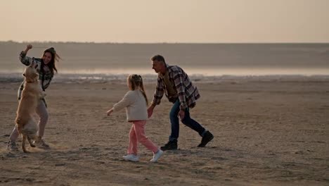 A-brunette-girl-wearing-a-hat-in-a-green-checkered-shirt-plays-with-her-large-cream-colored-dog-along-with-her-husband-and-little-daughter-while-vacationing-outside-the-city-on-a-deserted-seashore-in-summer