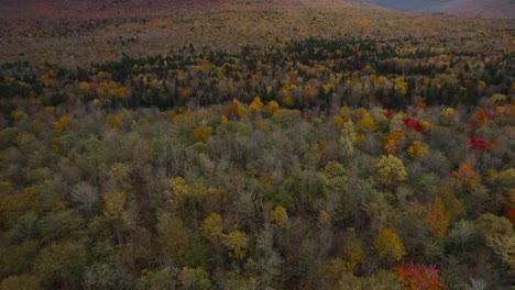 Drone-Flying-Over-Autumn-Trees-in-Forest-of-Coos-County,-New-Hampshire