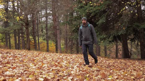 Bei-Einem-Spaziergang-In-Der-Umarmung-Des-Herbstes-Erkundet-Ein-Wanderer-Die-Ruhige-Landschaft-Und-Offenbart-Die-Schönheit-Der-Wechselnden-Farbpalette-Der-Natur