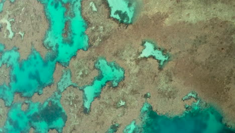 Colorful-coral-in-the-shallow,-crystal-clear-waters-off-the-shore-of-the-Isle-of-Pines---vertical-aerial