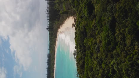 Isle-of-Pines-tropical-paradise-with-a-view-of-the-beach-at-the-Bay-des-Rouleaux---vertical-aerial