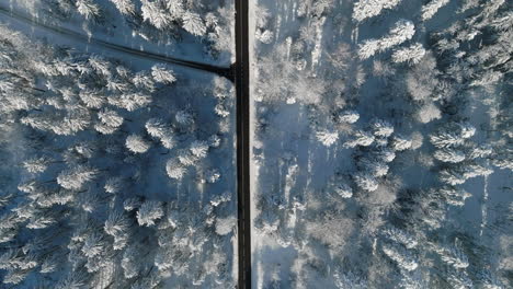 Bird's-Eye-View-Of-Snow-Covered-Forest-Over-Jorat-Woods-Near-Lausanne,-Canton-of-Vaud,-Switzerland