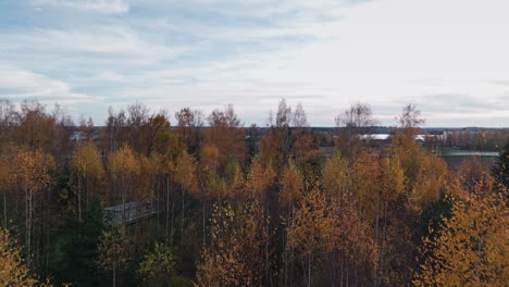 Luftdrohnenaufnahme,-Die-An-Einem-Herbsttag-Wunderschöne-Goldfarbene-Baumwipfel-Im-Wald-Mit-Einem-Fluss-Im-Hintergrund-Zeigt