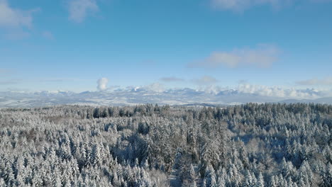 Bosque-De-Jorat-Durante-El-Invierno-Con-Fondo-De-Montaña-De-Los-Alpes-Cerca-De-Le-Mont-sur-lausanne,-Vaud,-Suiza