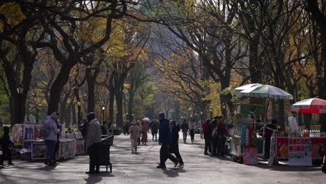 Durante-El-Otoño,-El-Paseo-Marítimo-De-Central-Park-Cobra-Vida-Con-Vibrantes-Colores-Otoñales,-Mientras-La-Gente-Pasea-Tranquilamente-Entre-Los-Tonos-Estacionales.