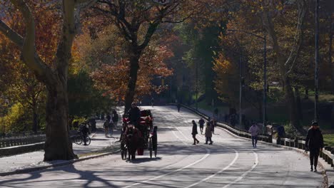 Un-Carruaje-Tirado-Por-Caballos-Se-Desliza-Por-Los-Encantadores-Senderos-De-Central-Park-En-El-Fresco-Aire-Otoñal-Previo-A-La-Navidad