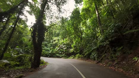 Driving-through-the-national-park-road,-dense-forest,-lush-vegetation-on-Mahe-island,-Seychelles-60-fps-3