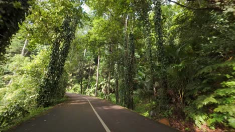 Driving-through-the-national-park-road,-dense-forest,-lush-vegetation-on-Mahe-island,-Seychelles-60-fps-2