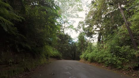 riving-through-the-national-park-road,-dense-forest,-lush-vegetation-on-Mahe-island,-Seychelles-60-fps-7