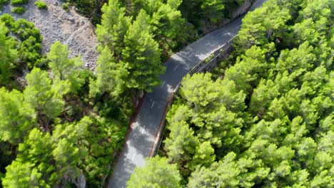 Tracking-drone-shop-of-road-through-green-forested-mountain-range
