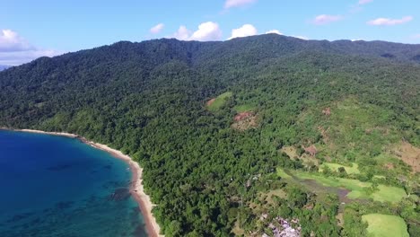 Panoramic-aerial-view-of-tropical-forest-near-the-blue-Indian-ocean-on-sunny-day